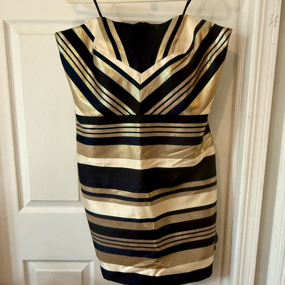 Ann Taylor Navy Blue and Gold Striped Dress